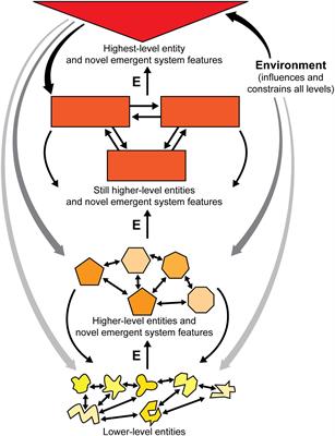 Phenomenal Consciousness and Emergence: Eliminating the Explanatory Gap